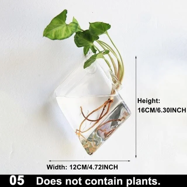 Hydroponic_Glass_Pot_-_-_tag1_-4275788 Hydroponic Glass Pot - - #tag1#