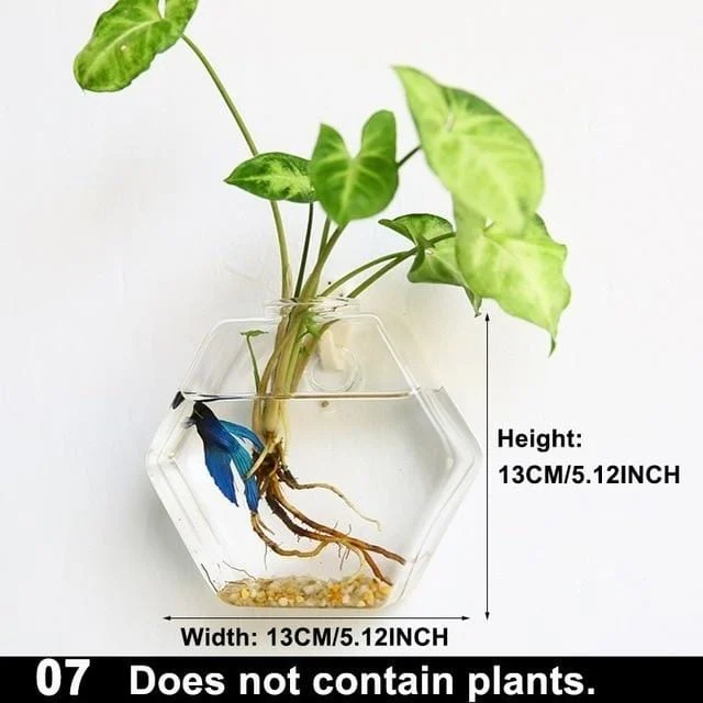 Hydroponic_Glass_Pot_-_-_tag1_-4275793 Hydroponic Glass Pot - - #tag1#