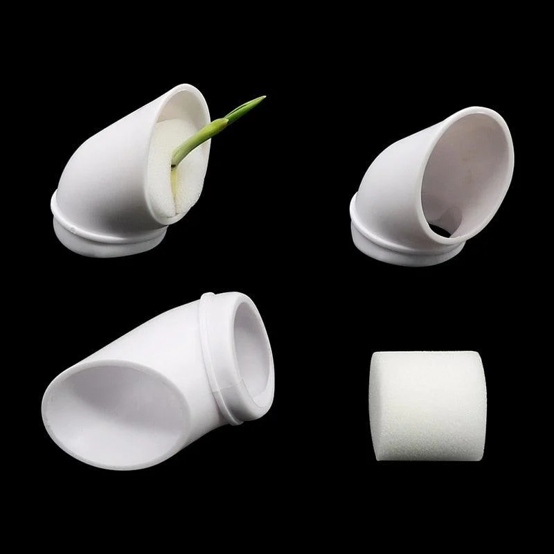 Hydroponics_Soilless_Plant_Grow_Cups_-_-4299657 Hydroponics Soilless Plant Grow Cups -