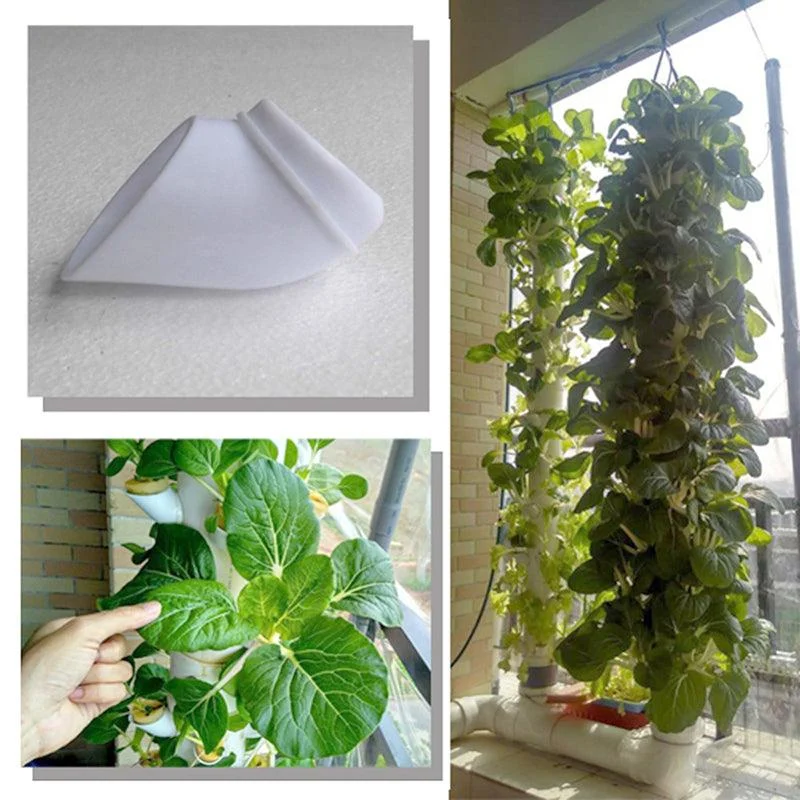 Hydroponics_Soilless_Plant_Grow_Cups_-_-4299662 Hydroponics Soilless Plant Grow Cups -