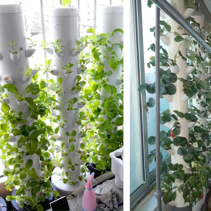 Hydroponics_Soilless_Plant_Grow_Cups_-_-4299669 Hydroponics Soilless Plant Grow Cups -