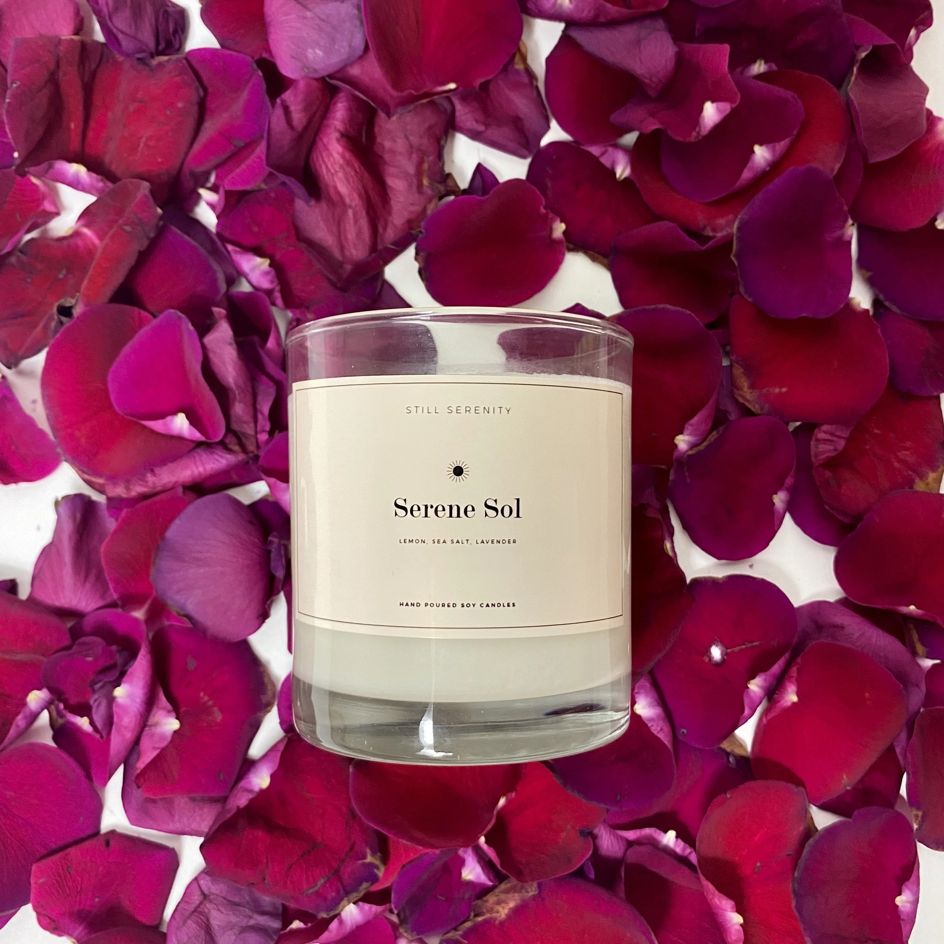 IMG_3595 Img 3595