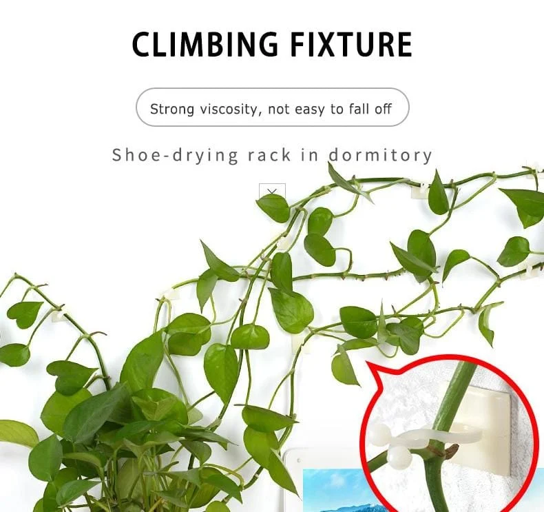 Invisible_Wall_Rattan_Clips_-_-_tag1_-4278965 Invisible Wall Rattan Clips - - #tag1#