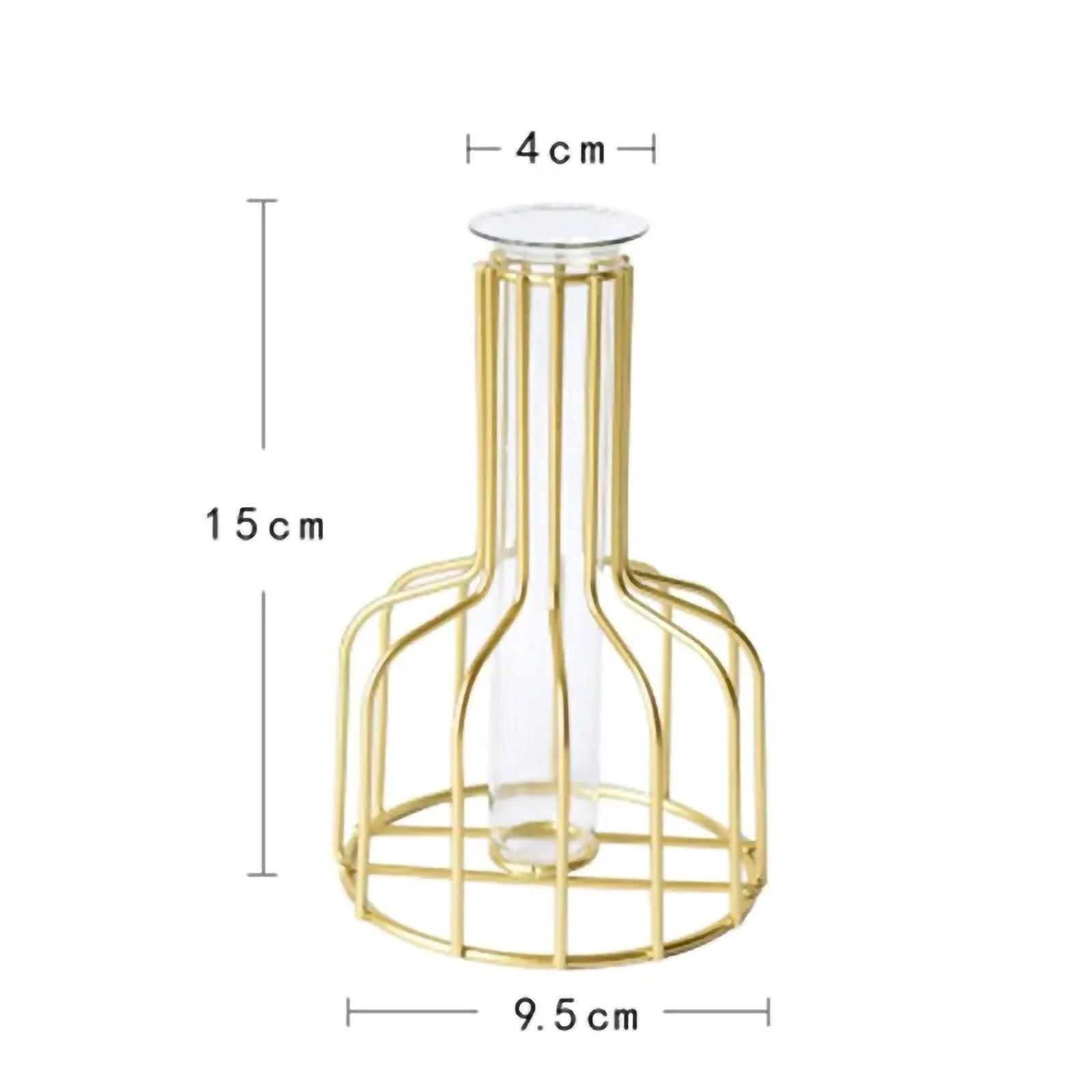 Iron Frame Hydroponic Vases -