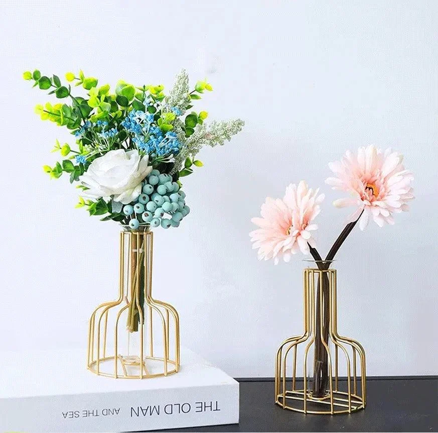 Iron Frame Hydroponic Vases -