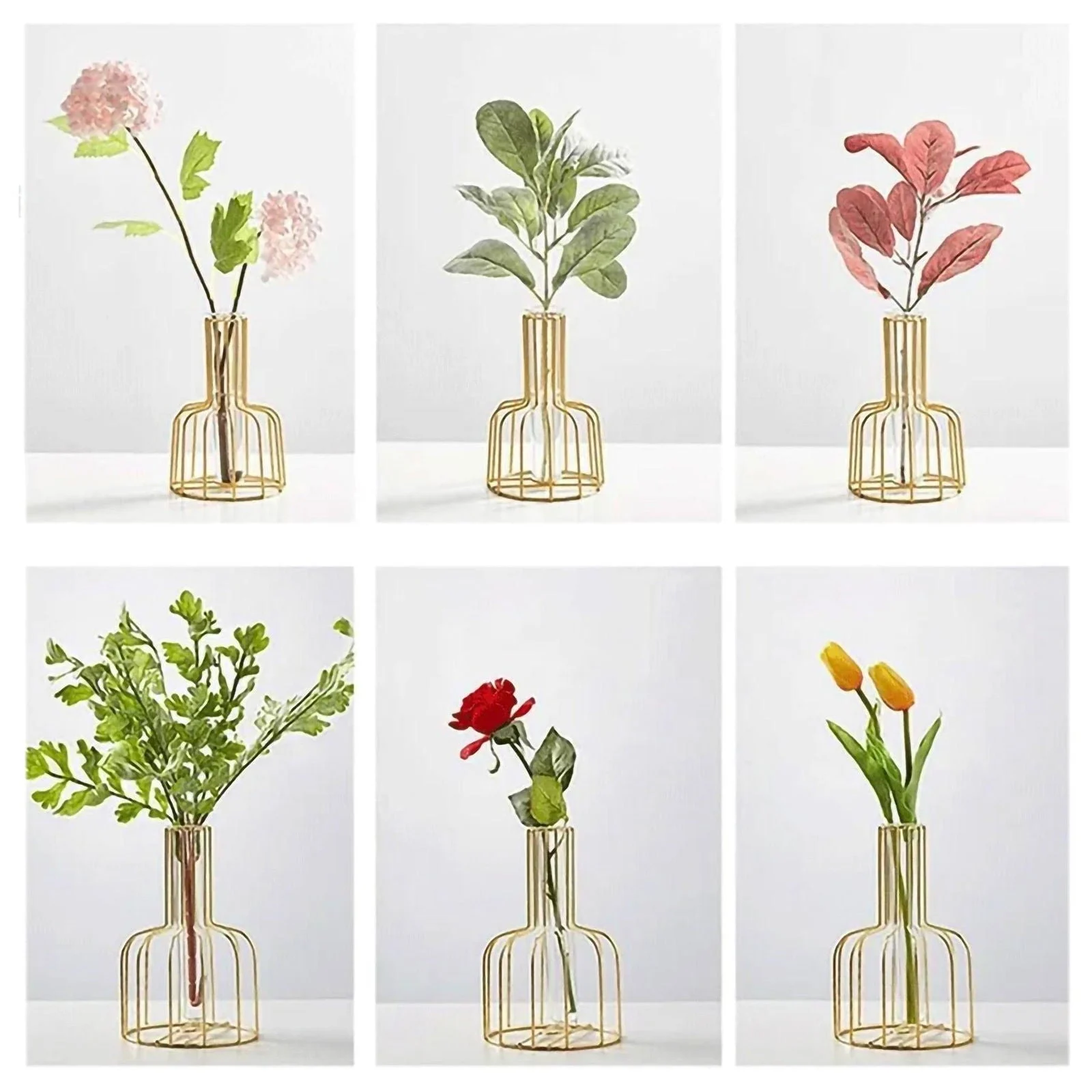 Iron Frame Hydroponic Vases -