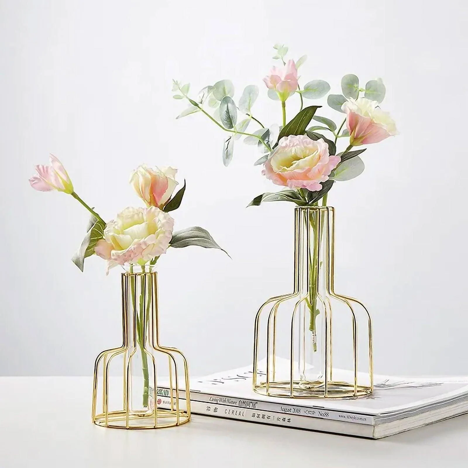 Iron Frame Hydroponic Vases -