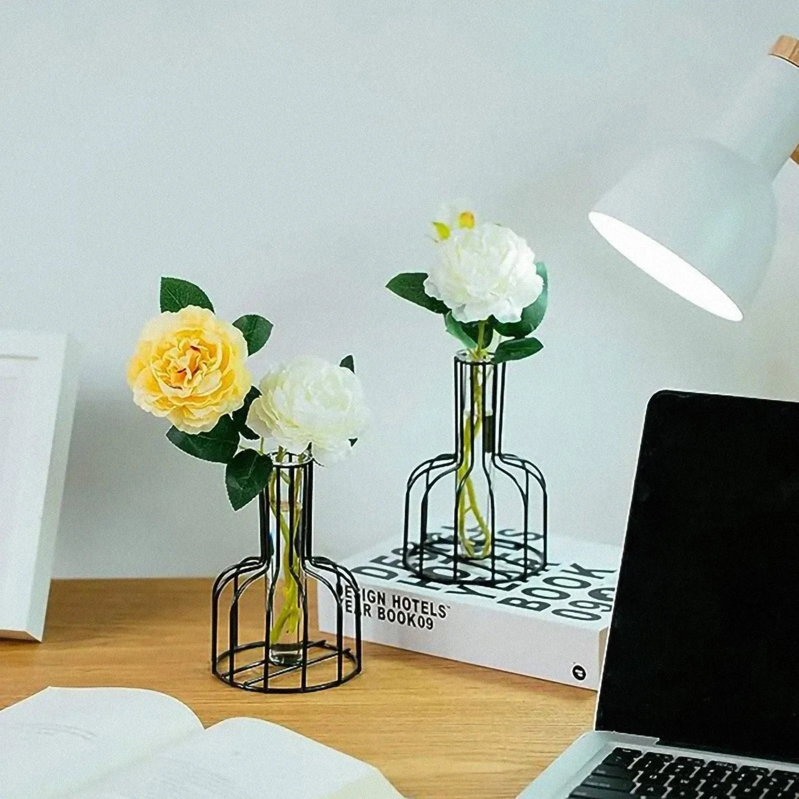 Iron Frame Hydroponic Vases -