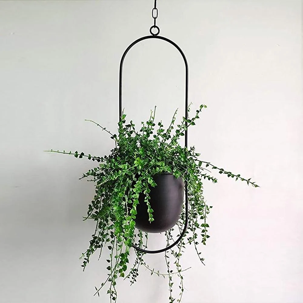 Iron_Hanging_Planters_-_-4302504 Iron Hanging Planters -