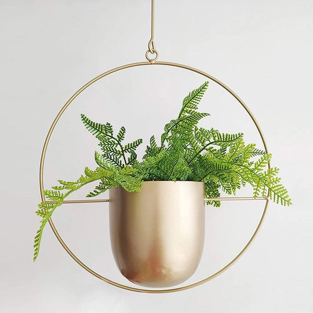 Iron_Hanging_Planters_-_-4302511 Iron Hanging Planters -