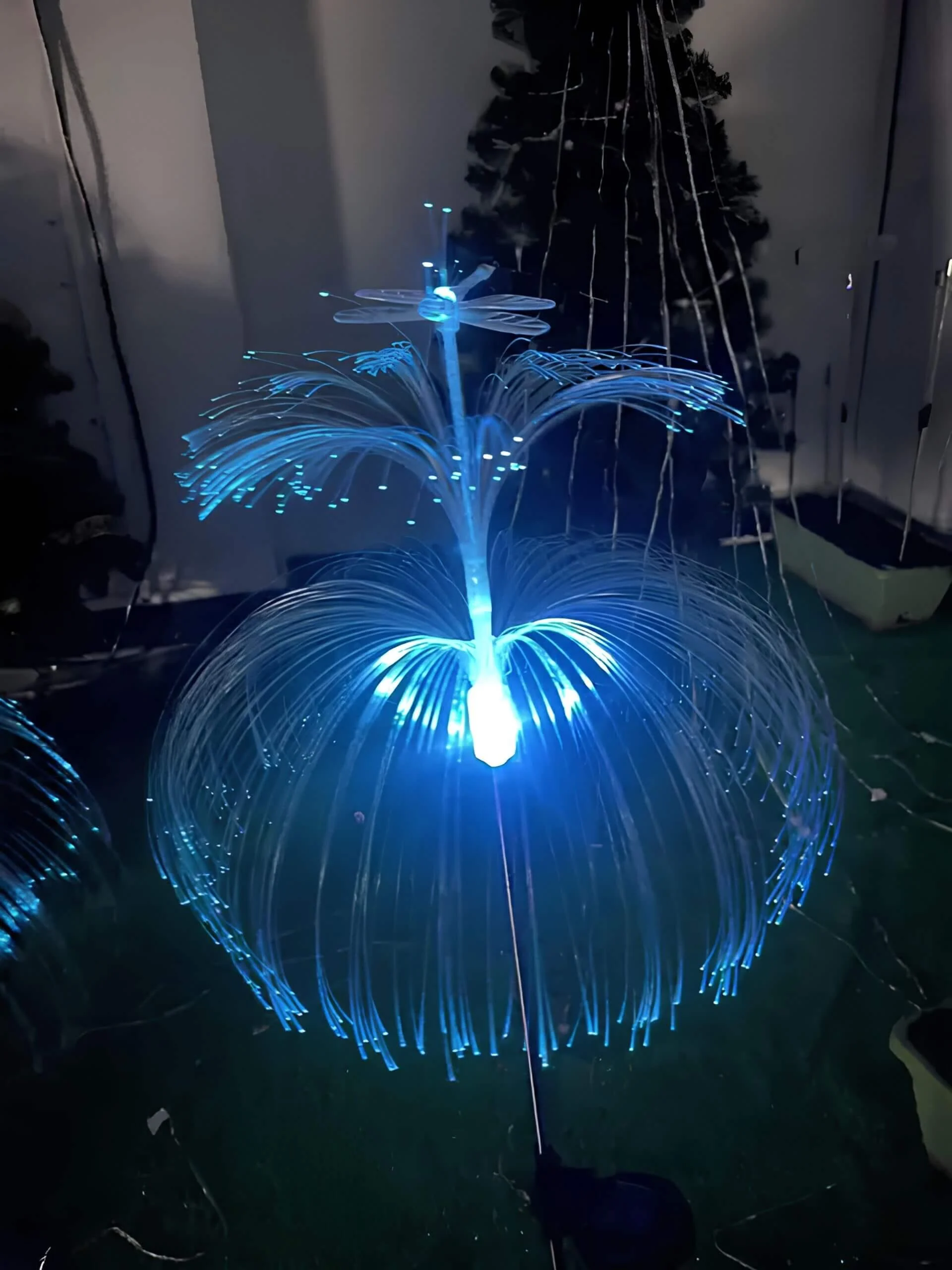 JellyBeamLEDQuallenleuchte-FarbwechselndeLED-DekoleuchtefurInnen-undAussenbereich8 Jellybeamledquallenleuchte Farbwechselndeled Dekoleuchtefurinnen Undaussenbereich8