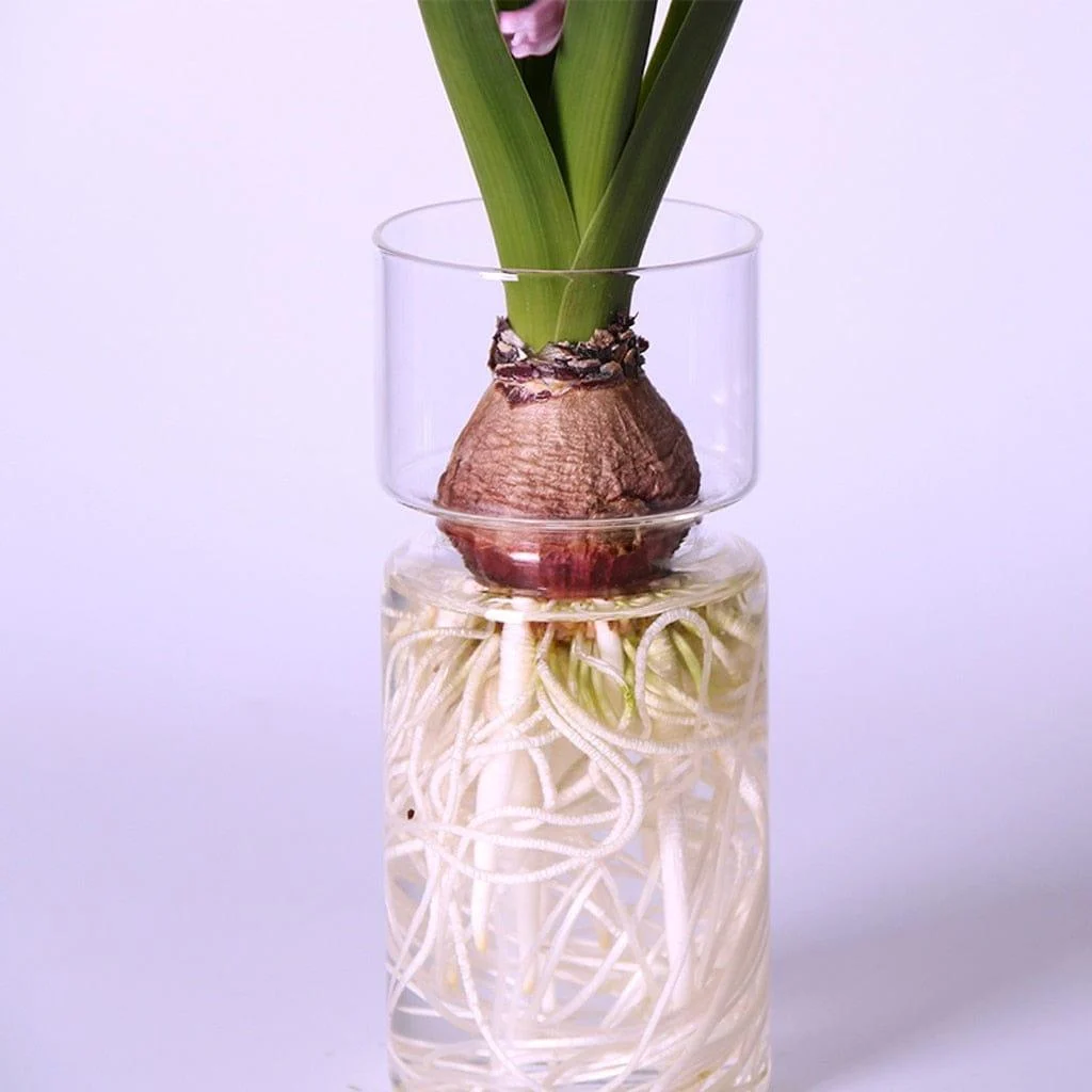 Jency_Vase_-_-4308402 Jency Vase -