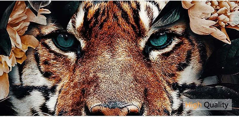 JunglePredators-Homeko4 Jungle Predators - Homeko