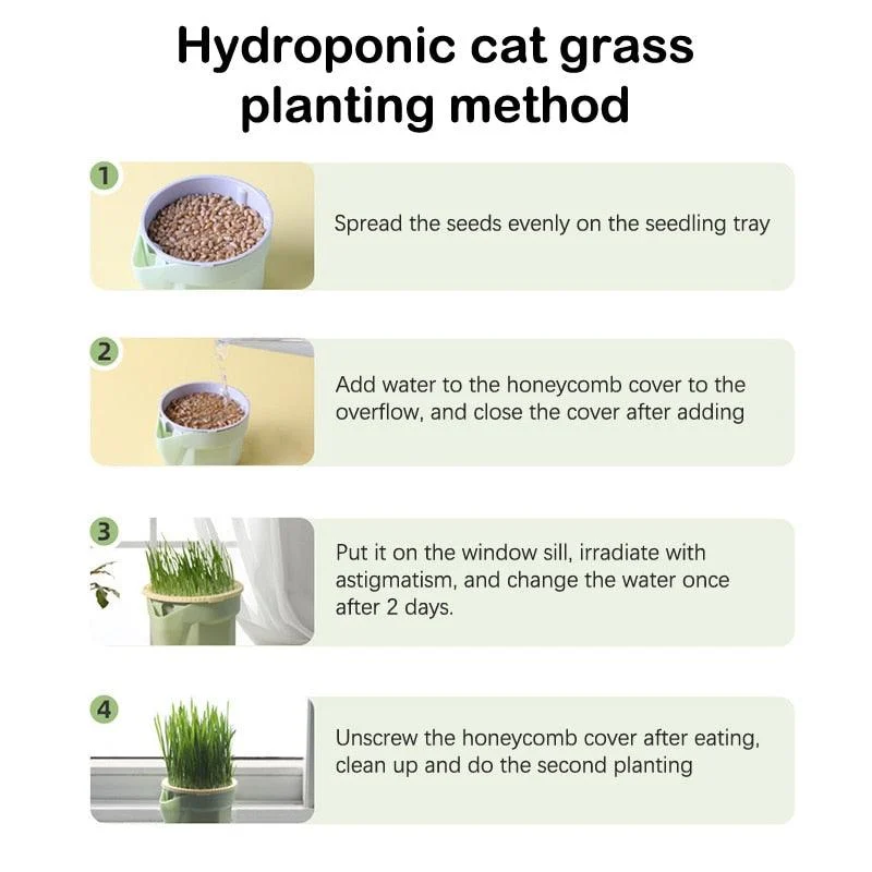 Kitty_Grass_Cup_-_-4312854 Kitty Grass Cup -