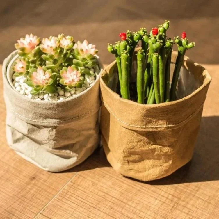 Kraft_Paper_Planter_-_-4314008 Kraft Paper Planter -