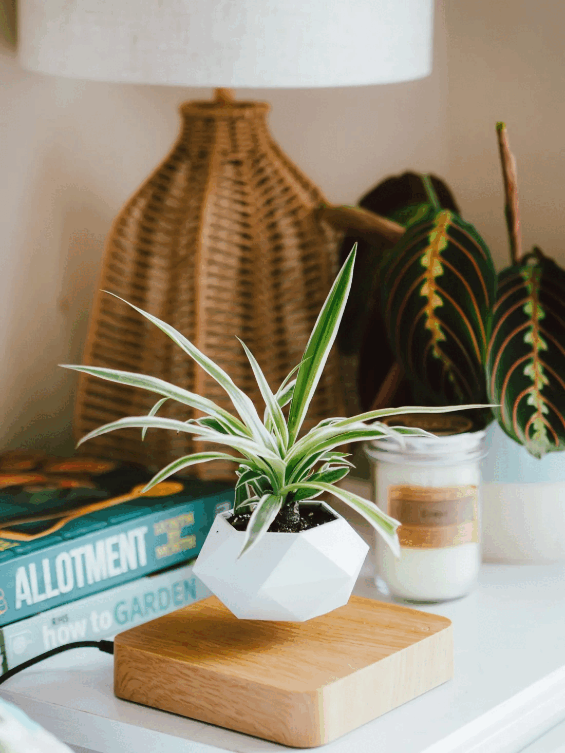 LEVITATINGPLANTPOT-Homeko1 LEVITATING PLANT POT - Homeko