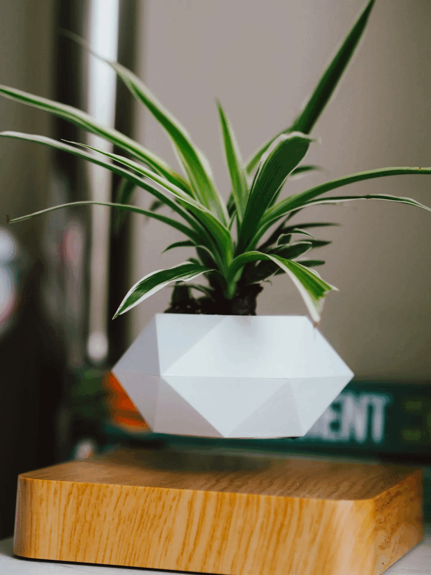 LEVITATINGPLANTPOT-Homeko2 LEVITATING PLANT POT - Homeko
