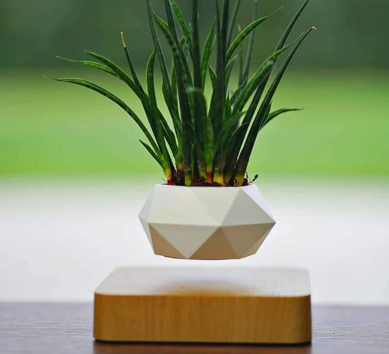 LEVITATINGPLANTPOT-Homeko3 LEVITATING PLANT POT - Homeko