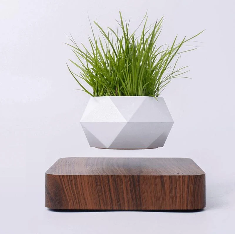 LEVITATINGPLANTPOT-Homeko4 LEVITATING PLANT POT - Homeko