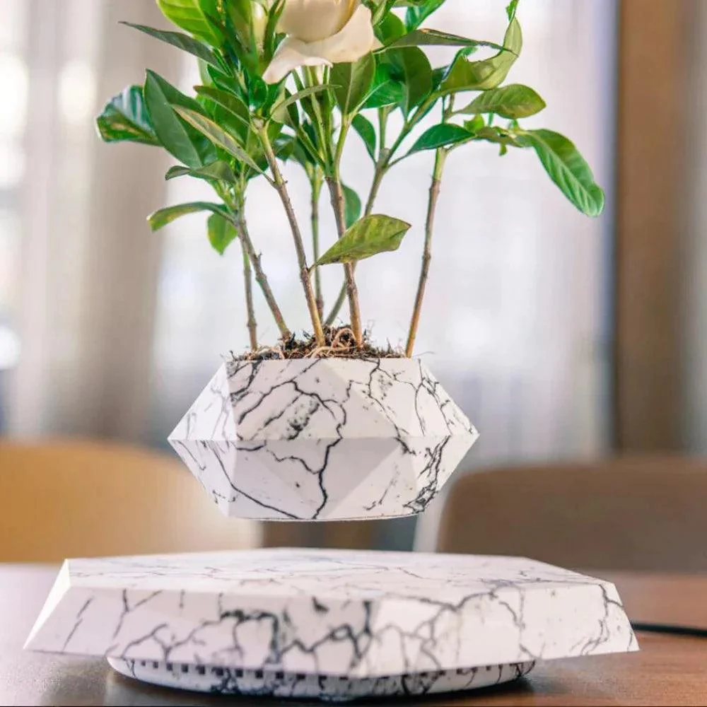 Levitating Bonsai Pot: Floating Botanical Elegance -