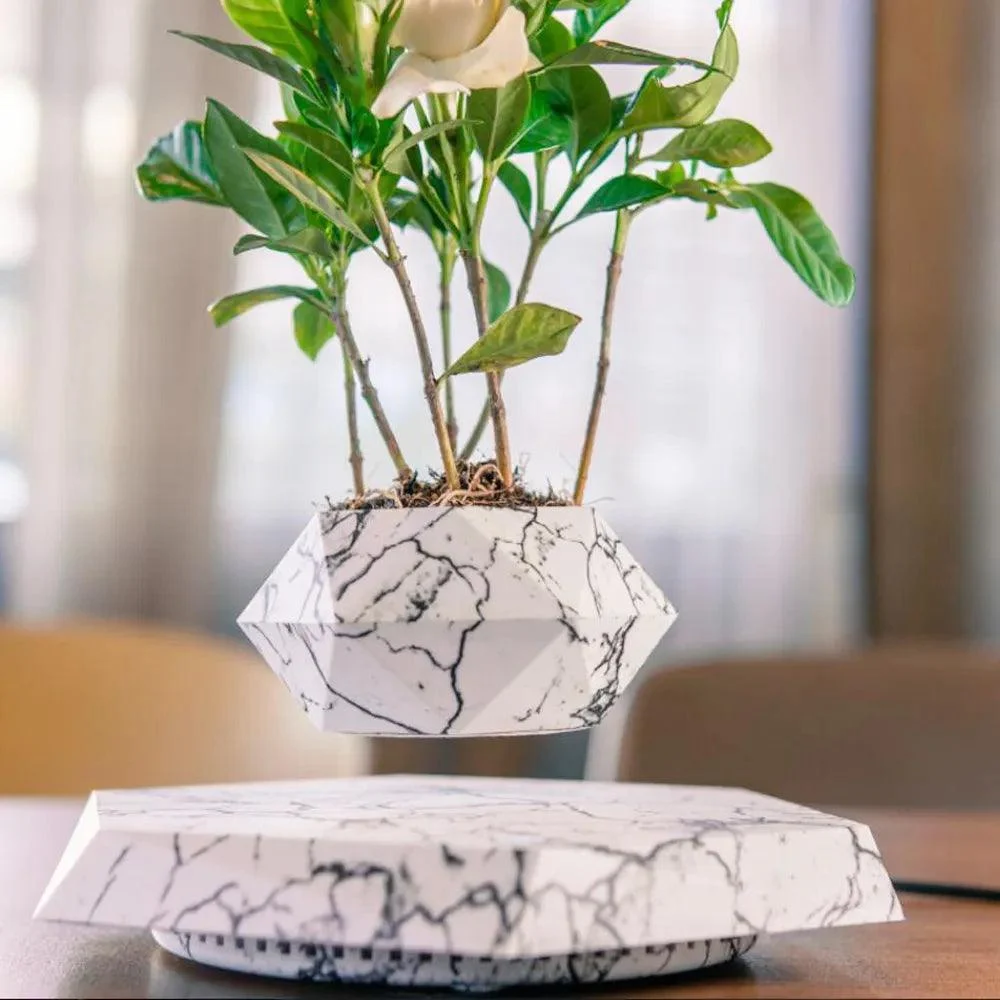 Levitating Bonsai Pot: Floating Botanical Elegance -