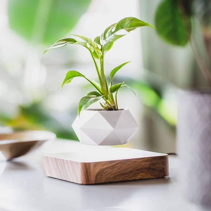 Levitating Flower Pot -