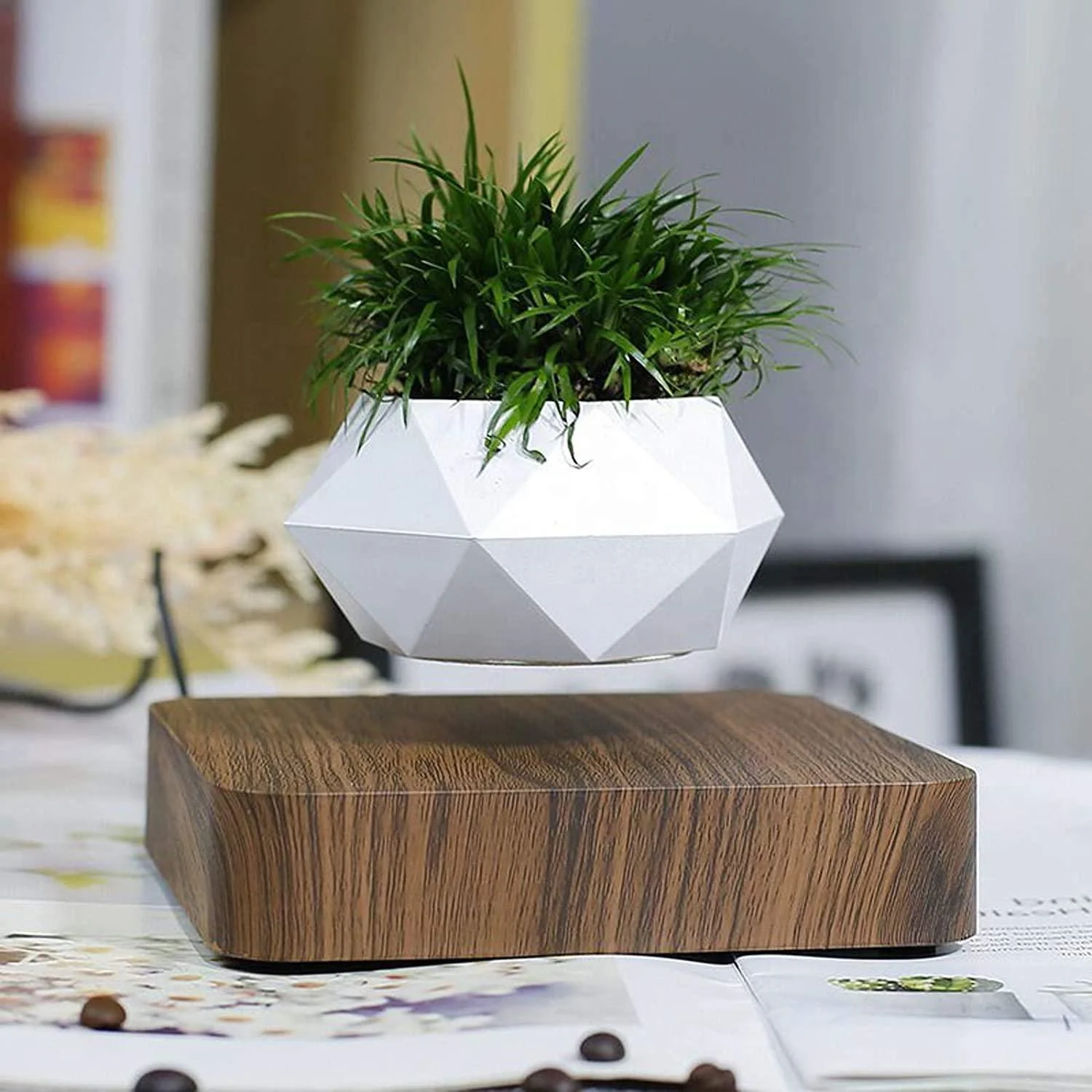 Levitating Flower Pot -