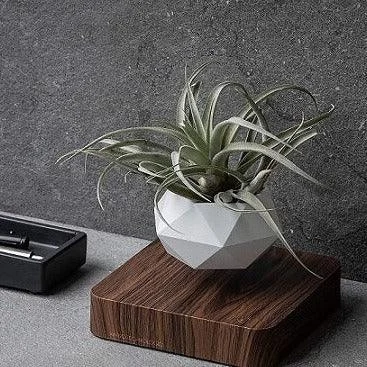 Levitating Flower Pot -