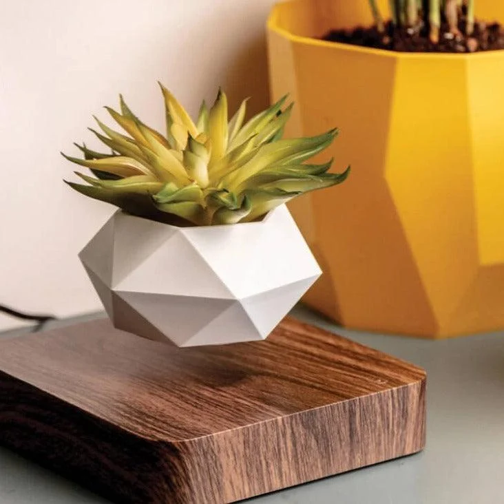 Levitating Flower Pot -
