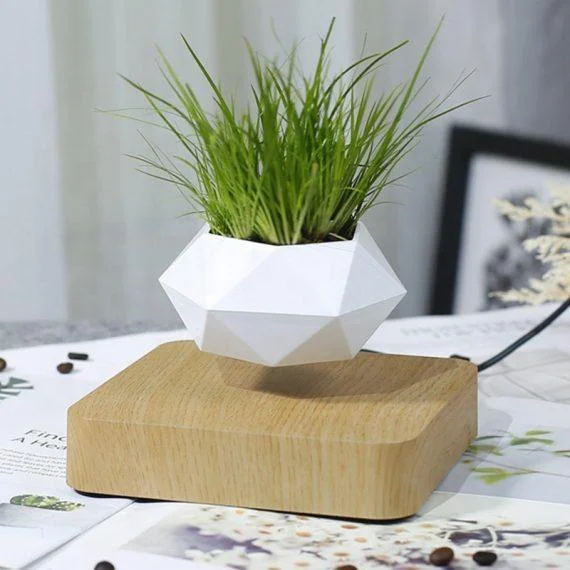Levitating Flower Pot -