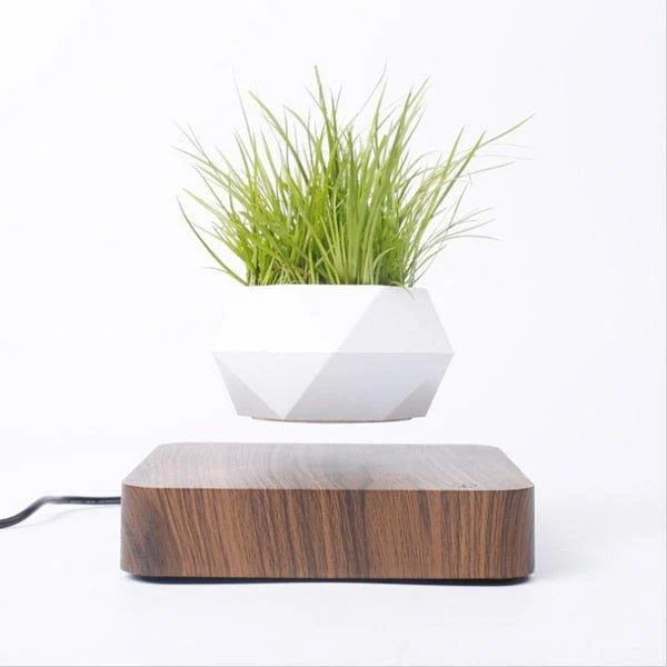 Levitating Flower Pot -