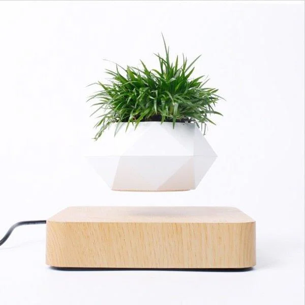 Levitating Flower Pot -
