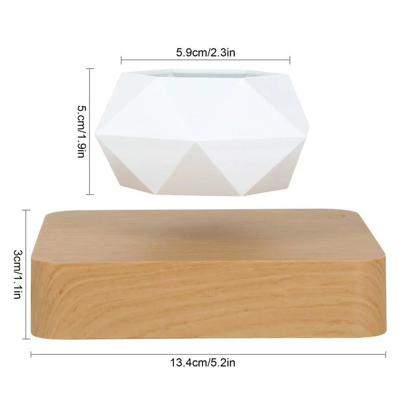 Levitating Flower Pot -