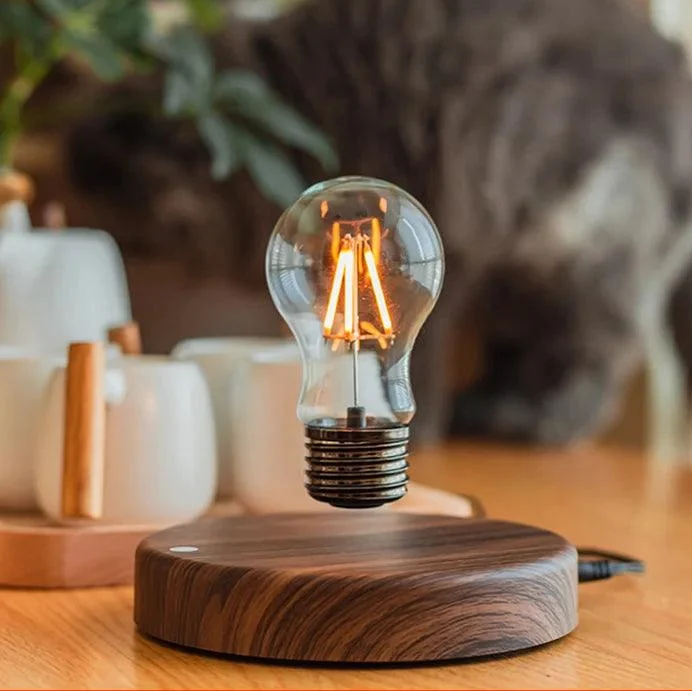 Levitating_Lightbulb_-_-4318734 Levitating Lightbulb -