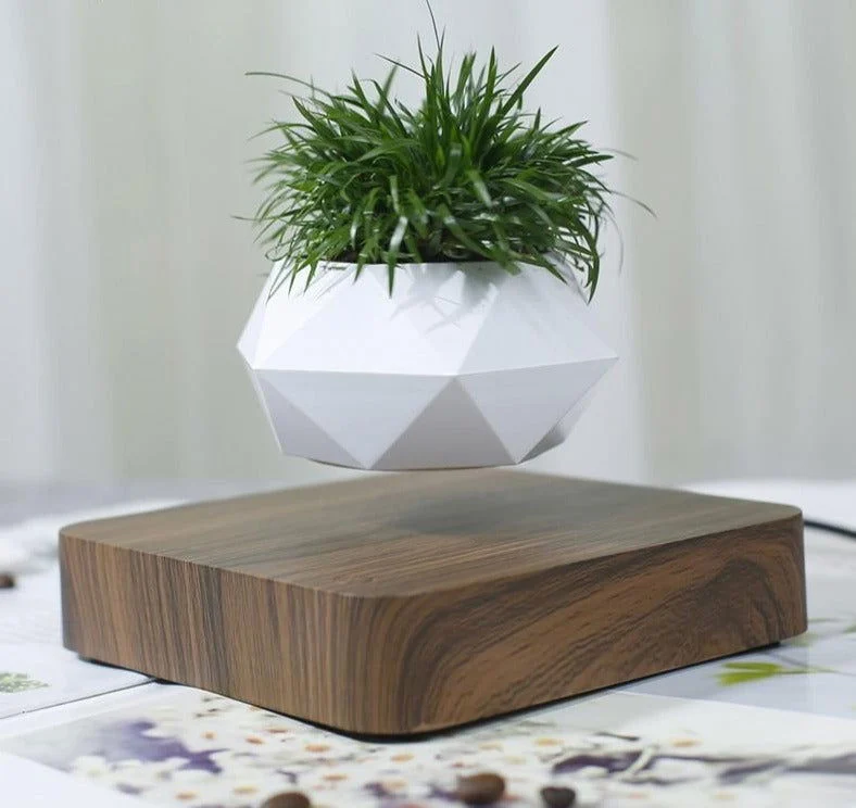 Levitating_Pot_-_-_tag1_-4300230 Levitating Pot - - #tag1#