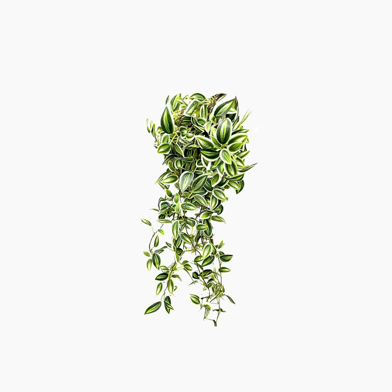 Long_Artificial_Hanging_Vines_Leaves_-_-4321482 Long Artificial Hanging Vines Leaves -