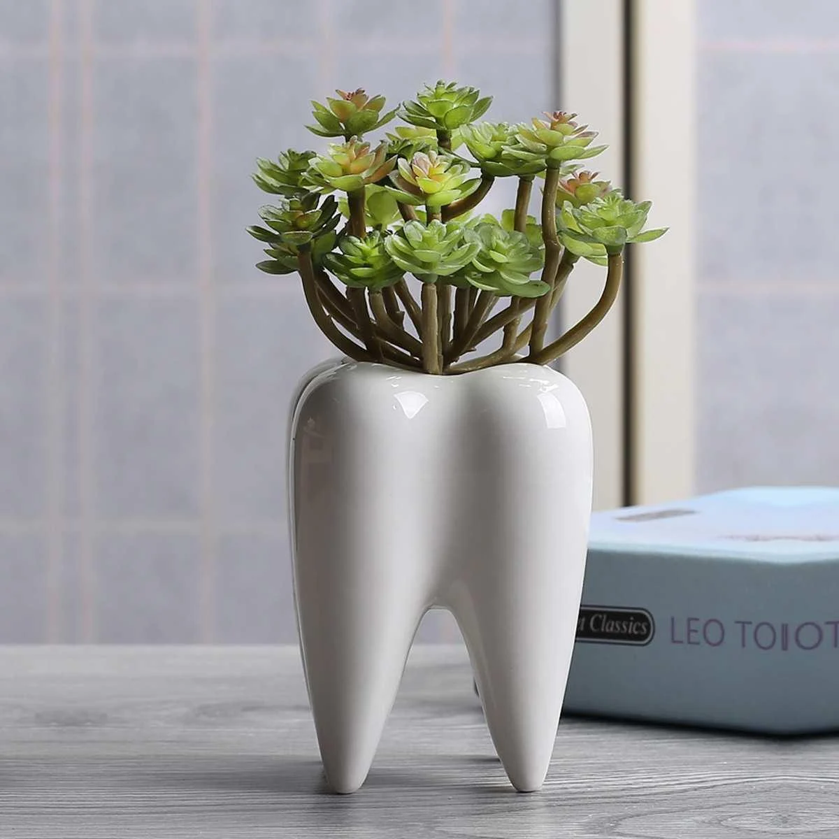 Lost Tooth Planter -