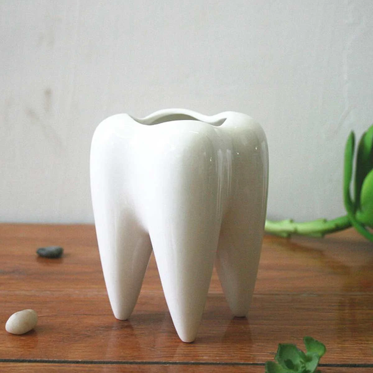 Lost Tooth Planter -