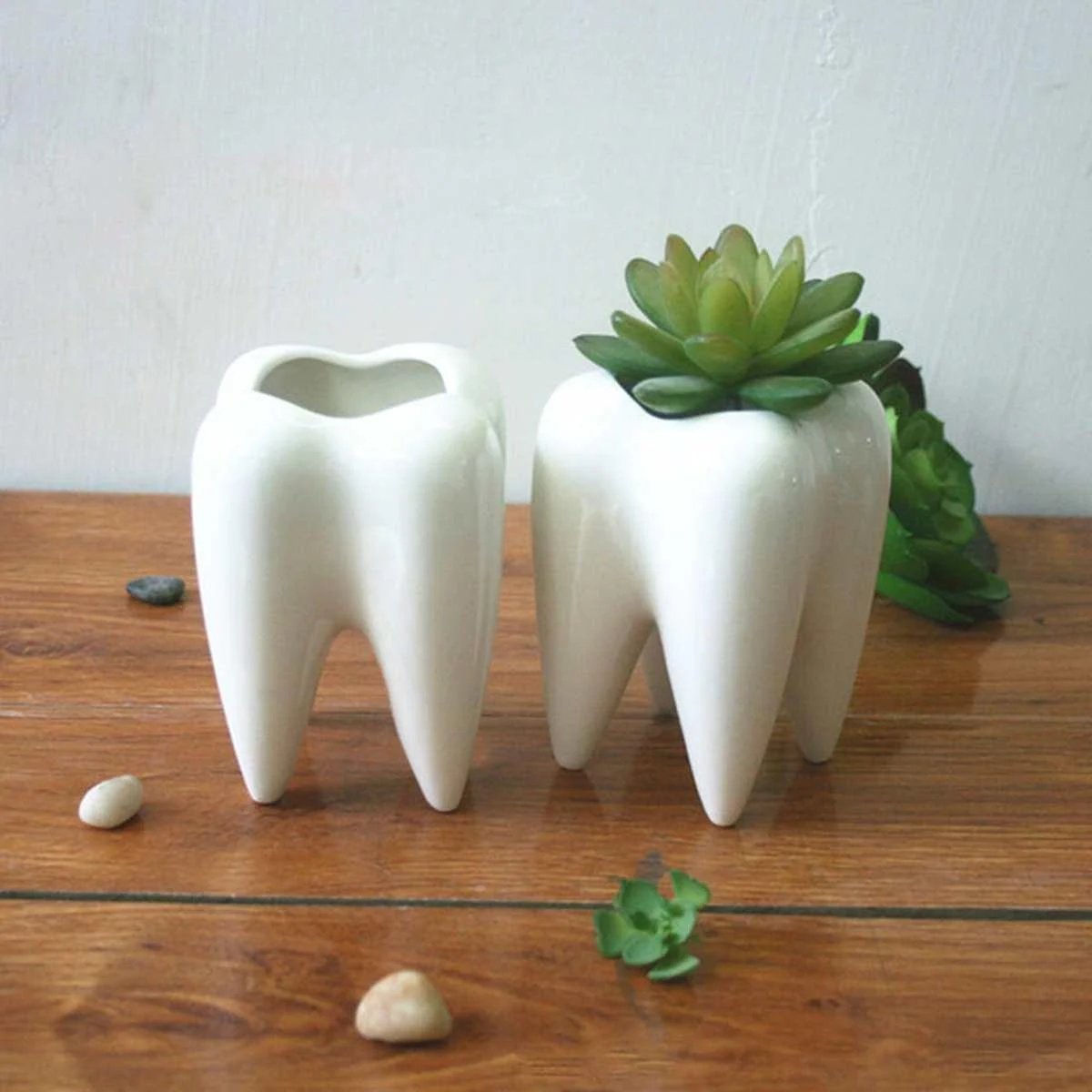 Lost Tooth Planter -