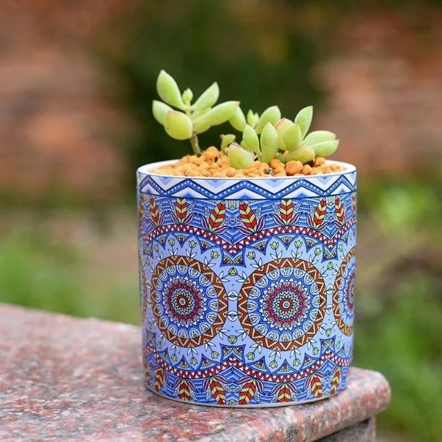 Mandala-Succulent-Ceramics-Plant-Flower-Pot-Classic-Round-Shape-Planter-Home-Garden-Office-Decoration_d98cc805-b40e-4e25-bf24-968478c9599c Mandala Succulent Ceramics Plant Flower Pot Classic Round Shape Planter Home Garden Office Decoration D98cc805 B40e 4e25 Bf24 968478c9599c