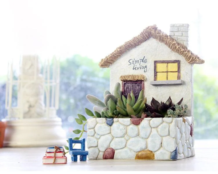 Mini Succulent Home -