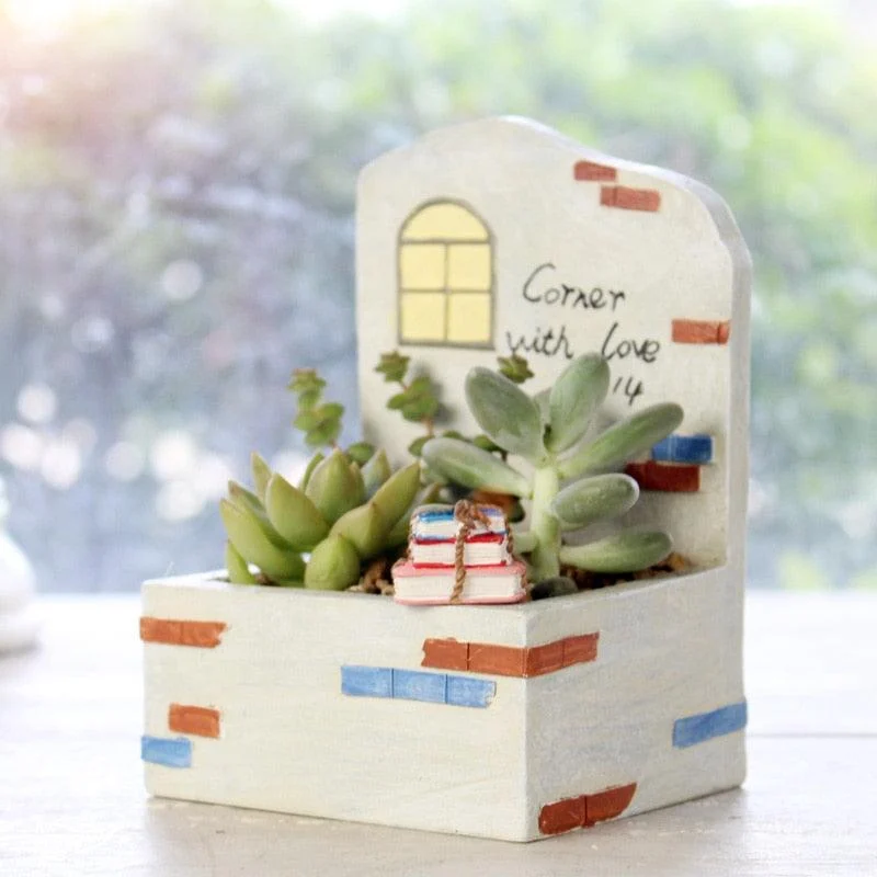 Mini Succulent Home -