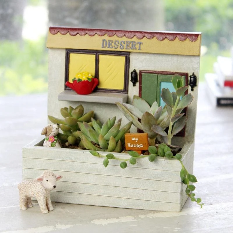 Mini Succulent Home -