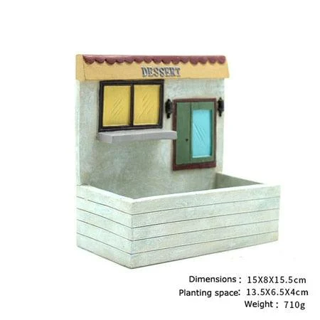Mini Succulent Home -