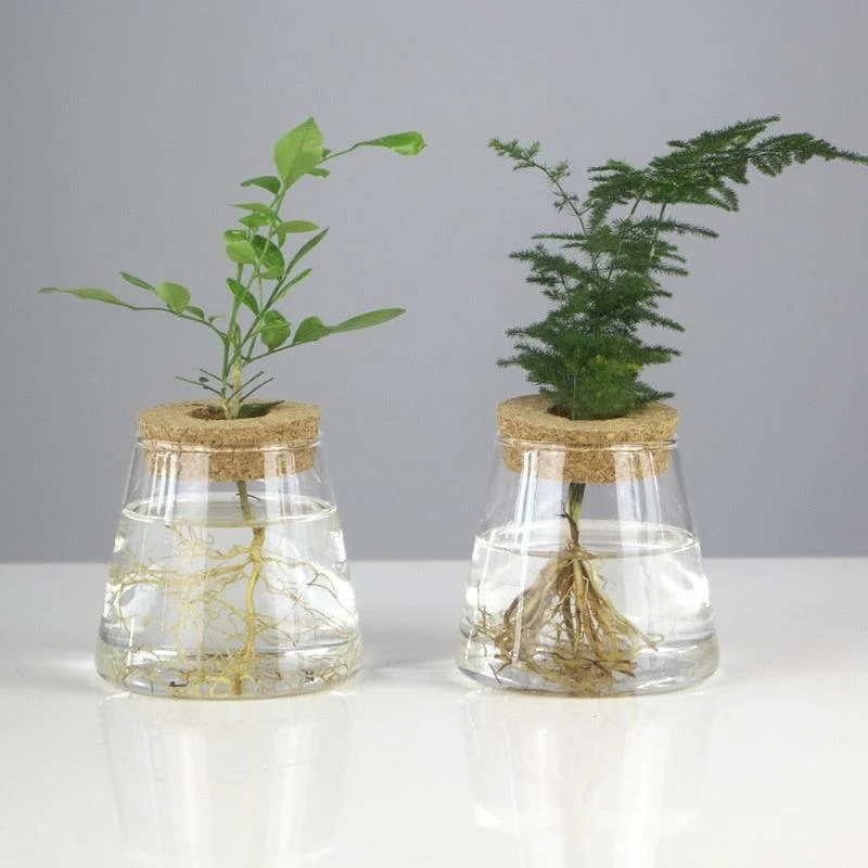 Mini_Vintage_Hydroponic_Flower_Glass_Pot_-_-4336243 Mini Vintage Hydroponic Flower Glass Pot -