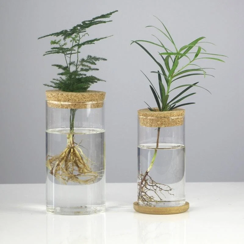 Mini_Vintage_Hydroponic_Flower_Glass_Pot_-_-4336248 Mini Vintage Hydroponic Flower Glass Pot -