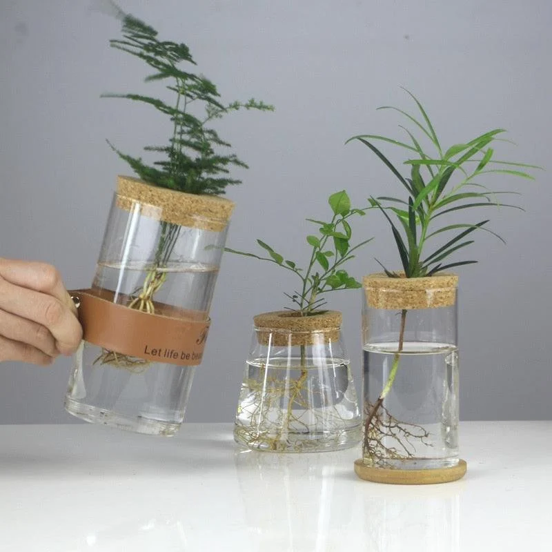 Mini_Vintage_Hydroponic_Flower_Glass_Pot_-_-4336253 Mini Vintage Hydroponic Flower Glass Pot -
