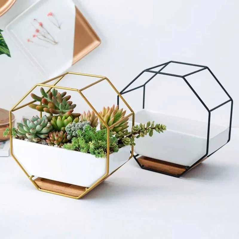 Minimalist-Octagonal-Geometric-Wall-Hanging-Table-Succulents-Ceramic-Flower-Pot-Bamboo-Tray-Iron-Frame-Set-Crafts_067e0583-148f-4dc9-baba-28e210b886d6 Minimalist Octagonal Geometric Wall Hanging Table Succulents Ceramic Flower Pot Bamboo Tray Iron Frame Set Crafts 067e0583 148f 4dc9 Baba 28e210b886d6