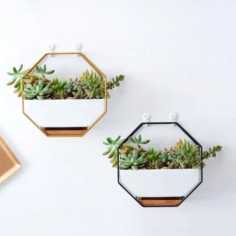 Minimalist-Octagonal-Geometric-Wall-Hanging-Table-Succulents-Ceramic-Flower-Pot-Bamboo-Tray-Iron-Frame-Set-Crafts_0b0fcaf8-725c-47c6-a098-8a848d5b00de Minimalist Octagonal Geometric Wall Hanging Table Succulents Ceramic Flower Pot Bamboo Tray Iron Frame Set Crafts 0b0fcaf8 725c 47c6 A098 8a848d5b00de