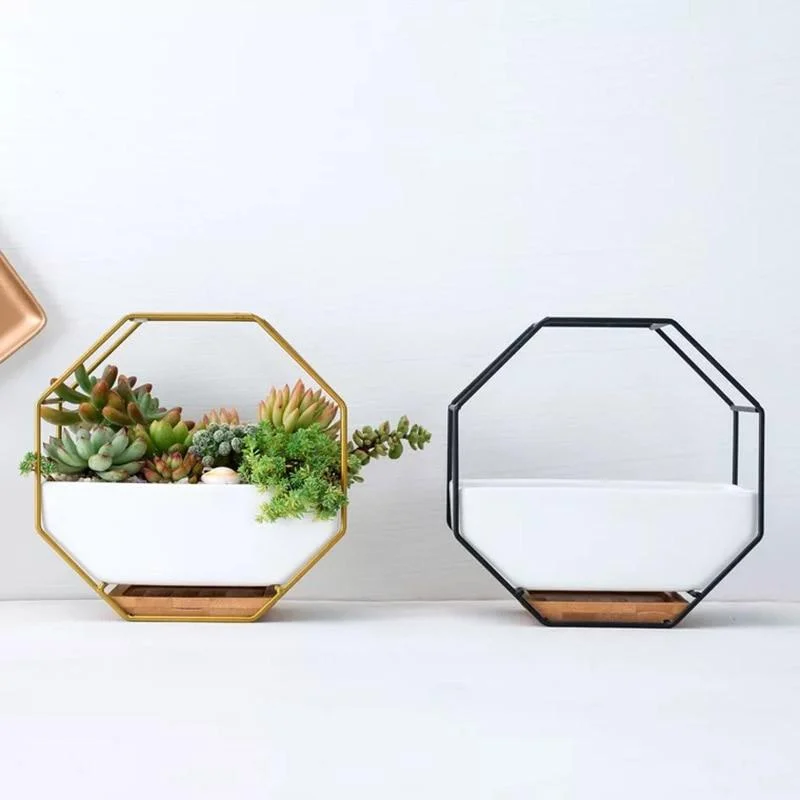Minimalist-Octagonal-Geometric-Wall-Hanging-Table-Succulents-Ceramic-Flower-Pot-Bamboo-Tray-Iron-Frame-Set-Crafts_bcaf7ea4-ce5c-4b3c-bf6f-304b261ab472 Minimalist Octagonal Geometric Wall Hanging Table Succulents Ceramic Flower Pot Bamboo Tray Iron Frame Set Crafts Bcaf7ea4 Ce5c 4b3c Bf6f 304b261ab472